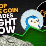 Bitcoin hits $100K! Explore meme coins, Ethereum’s rise & Web3 shifts with trusted crypto insights and investment strategies.